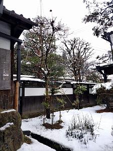Nagoya - Excursion a Shirakawa via Takayama - 078